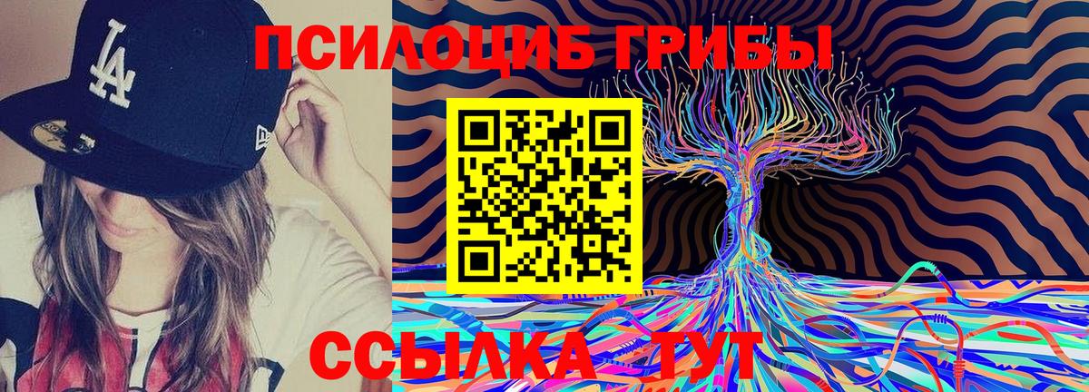 Псилоцибиновые грибы Magic Shrooms  Псилоцибиновые грибы Cubensis  Вход с VPN  Заинск 